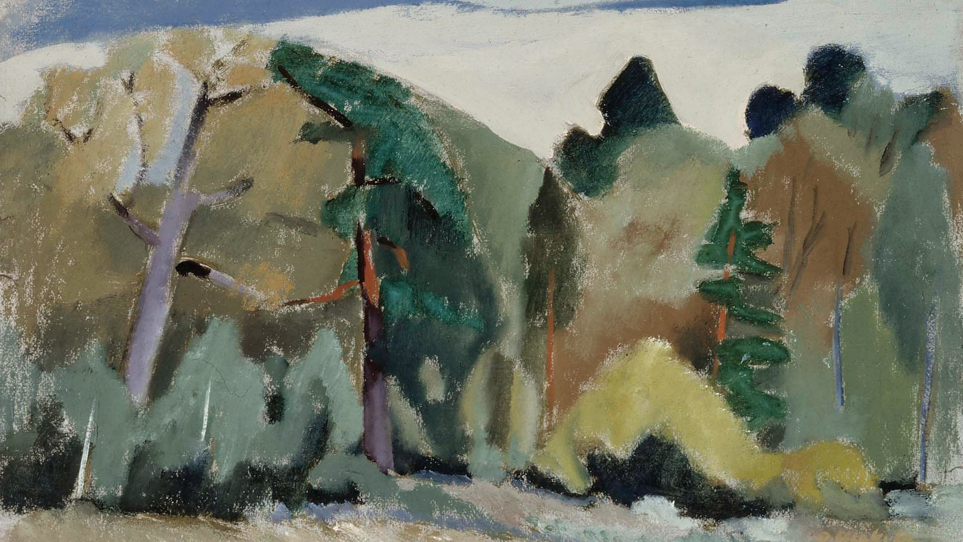 Earthy Pine Slope